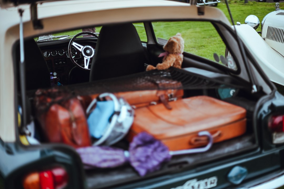 Luggage and a teddy bear in an open car trunk