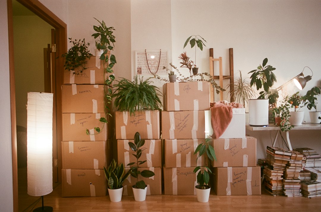 Moving boxes prepared for relocation to a new apartment