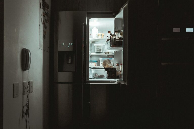 Refrigerator containing food during a power outage